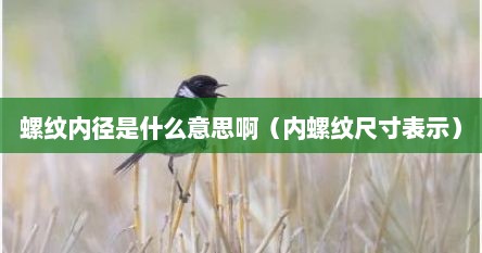 螺纹内径是什么意思啊（内螺纹尺寸表示）