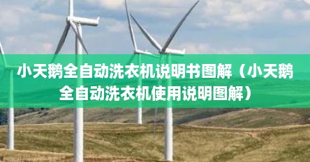 小天鹅全自动洗衣机说明书图解（小天鹅洗衣机说明书视频教程）