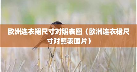 欧洲连衣裙尺寸对照表图（欧洲连衣裙尺寸对照表图片）