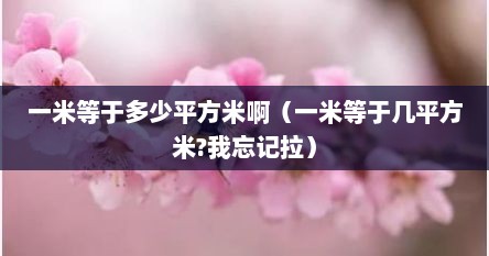 一米等于多少平方米答案（1米等于多少平方米呀）