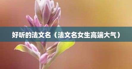 好听的法文名（法文名女生高端大气）