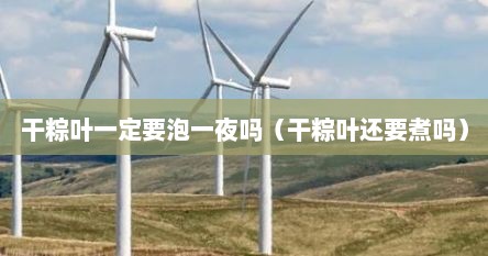 干粽叶一定要泡一夜吗（干粽叶还要煮吗）