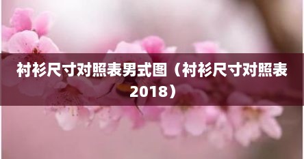 衬衫尺寸对照表男式图（衬衫尺寸对照表2018）