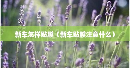 新车怎样贴膜（新车贴膜注意什么）