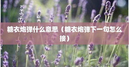 糖衣炮弹什么意思（糖衣炮弹下一句怎么接）