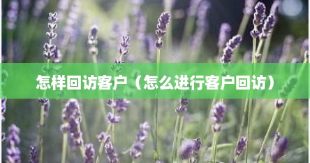 怎样回访客户（怎么进行客户回访）