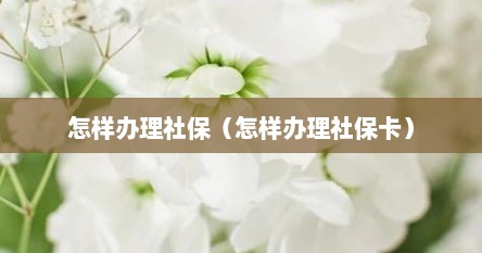 怎样办理社保（怎样办理社保卡）
