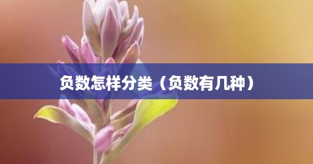 负数怎样分类（负数有几种）