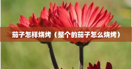 茄子怎样烧烤（整个的茄子怎么烧烤）