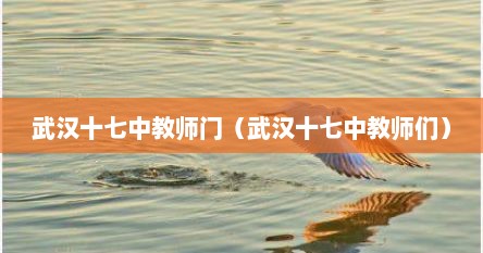 武汉十七中教师门（武汉十七中教师们）