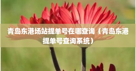 青岛东港场站提单号在哪查询（青岛东港提单号查询系统）