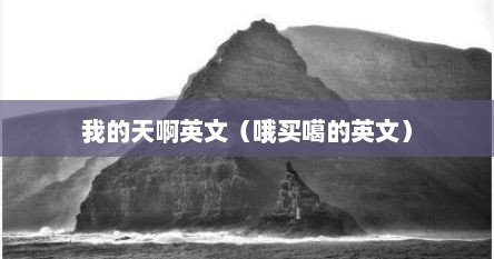我的天啊英文（哦买噶的英文）