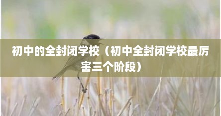 初中的全封闭学校（初中全封闭学校最厉害三个阶段）