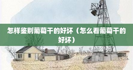怎样鉴别葡萄干的好坏（怎么看葡萄干的好坏）