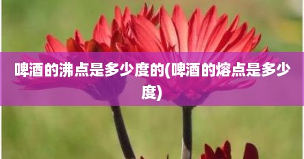啤酒的沸点是多少度的(啤酒的熔点是多少度)