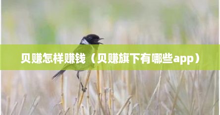 贝赚怎样赚钱（贝赚旗下有哪些app）