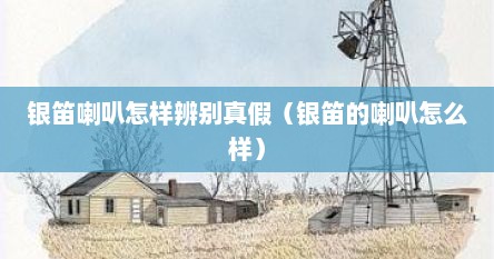 银笛喇叭怎样辨别真假（银笛的喇叭怎么样）