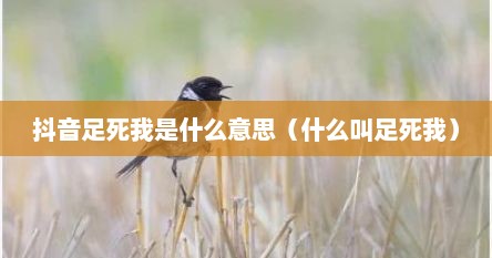 抖音足死我是什么意思（什么叫足死我）