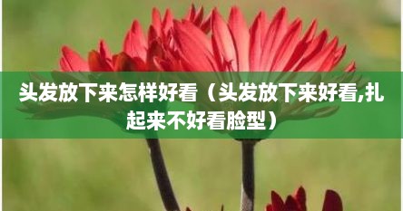 头发放下来怎样好看（头发放下来好看,扎起来不好看脸型）
