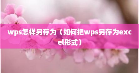 wps怎样另存为（如何把wps另存为excel形式）