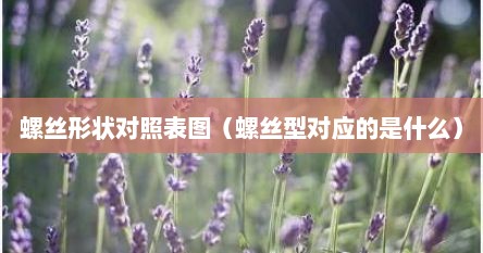 螺丝形状对照表图（螺丝型对应的是什么）
