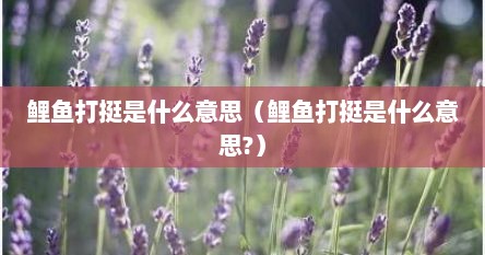鲤鱼打挺是什么意思（鲤鱼打挺是什么意思?）