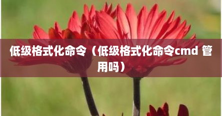 低级格式化命令（低级格式化命令cmd 管用吗）