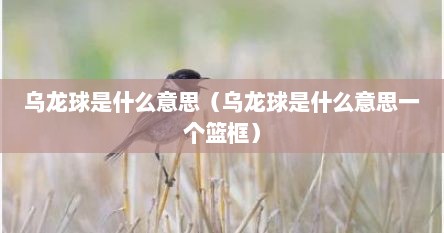乌龙球是什么意思（乌龙球是什么意思一个篮框）