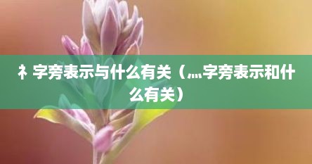 礻字旁表示与什么有关（灬字旁表示和什么有关）