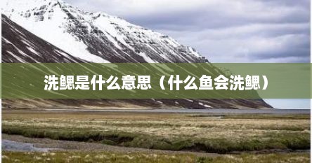 洗鳃是什么意思（什么鱼会洗鳃）
