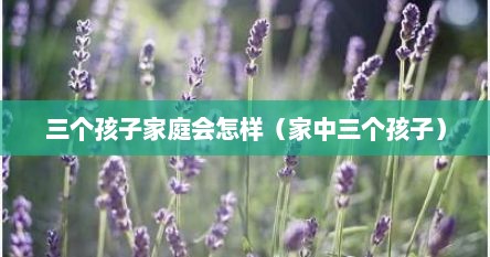 三个孩子家庭会怎样（家中三个孩子）