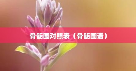 骨骺图对照表（骨骺图谱）
