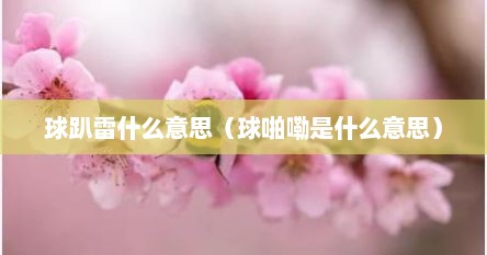 球趴雷什么意思（球啪嘞是什么意思）