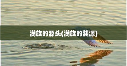 满族的源头(满族的渊源)