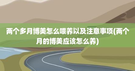 两个多月博美怎么喂养以及注意事项(两个月的博美应该怎么养)