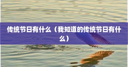 传统节日有什么（我知道的传统节日有什么）
