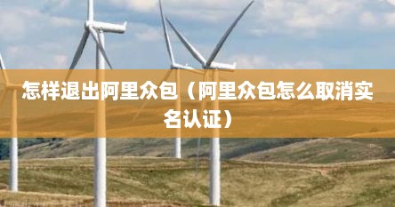 怎样退出阿里众包（阿里众包怎么取消实名认证）
