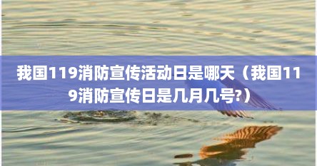 我国119消防宣传活动日是哪天（我国119消防宣传日是几月几号?）