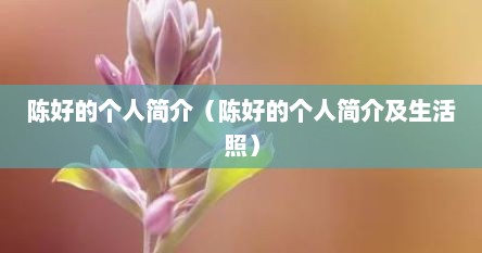 陈好的个人简介（陈好的个人简介及生活照）