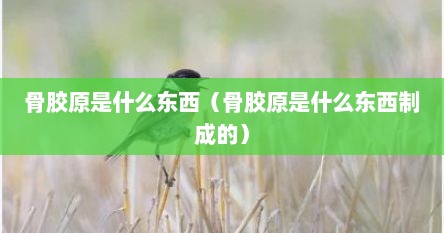 骨胶原是什么东西（骨胶原是什么东西制成的）