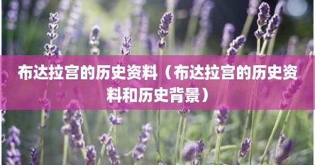布达拉宫的历史资料（布达拉宫的历史资料和历史背景）