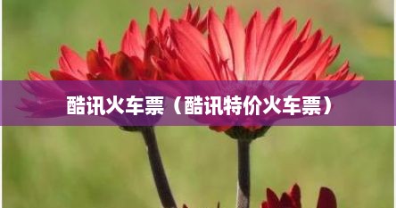 酷讯特价（酷讯特价机票预订官网入口）