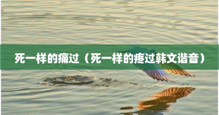 死一样的痛过（死一样的疼过韩文谐音）