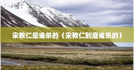 宋教仁是谁杀的（宋教仁到底谁杀的）