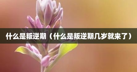 什么是叛逆期（什么是叛逆期几岁就来了）