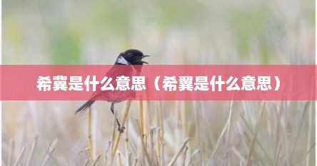 希冀是什么意思（希翼是什么意思）