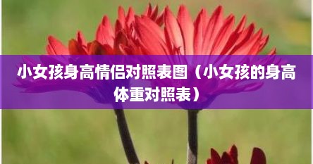 小女孩身高情侣对照表图（小女孩的身高体重对照表）