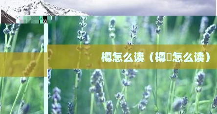 樽怎么读（樽罍怎么读）