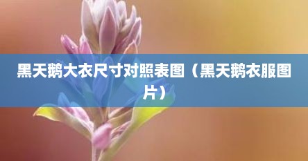 黑天鹅大衣尺寸对照表图（黑天鹅衣服图片）
