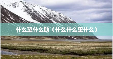 什么望什么助（什么什么望什么）